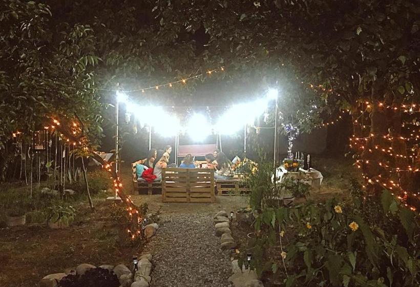 پانسیون Villa Tsinandali