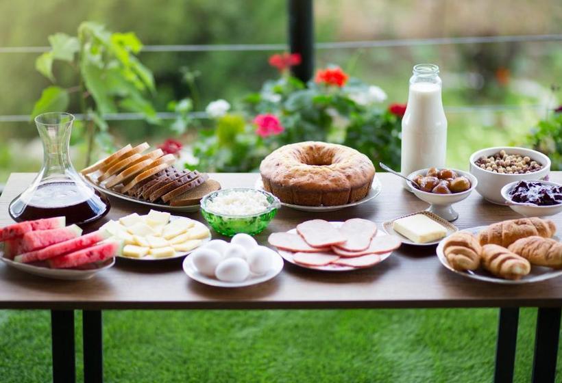 پانسیون Villa Tsinandali