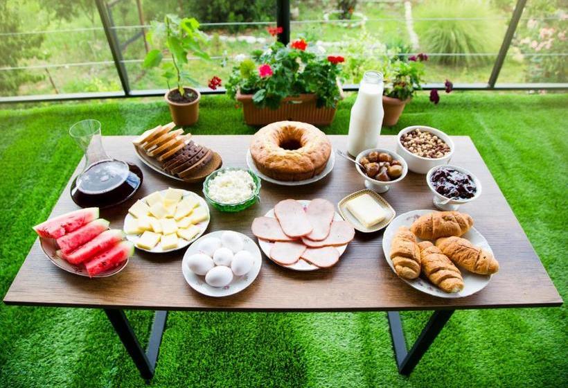 پانسیون Villa Tsinandali