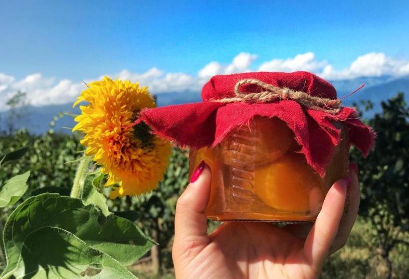 پانسیون Villa Tsinandali