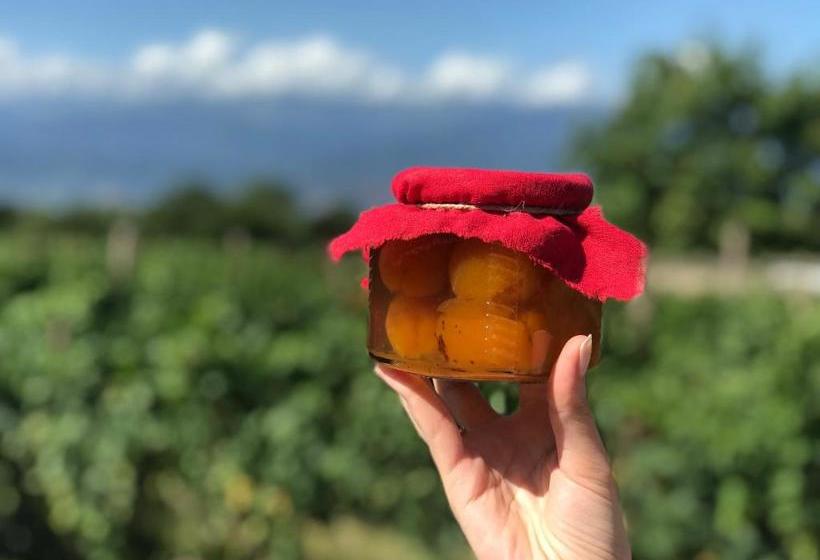 پانسیون Villa Tsinandali