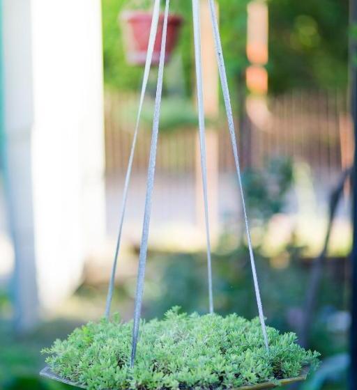 پانسیون Villa Tsinandali