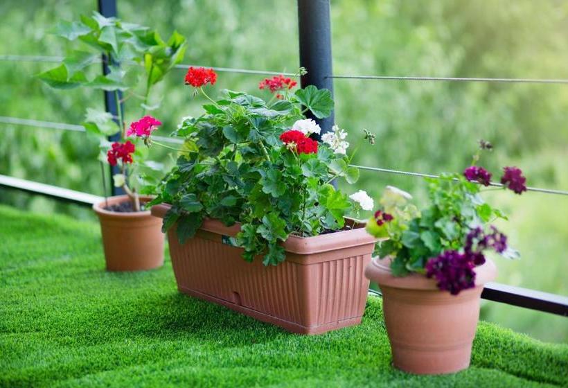 پانسیون Villa Tsinandali