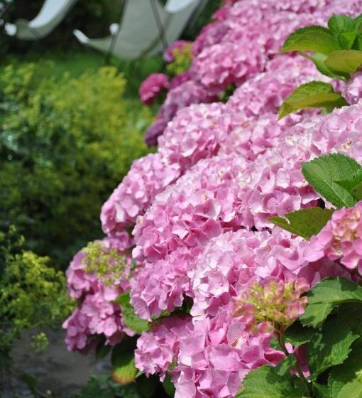 B&b La Chambre D'à Côté