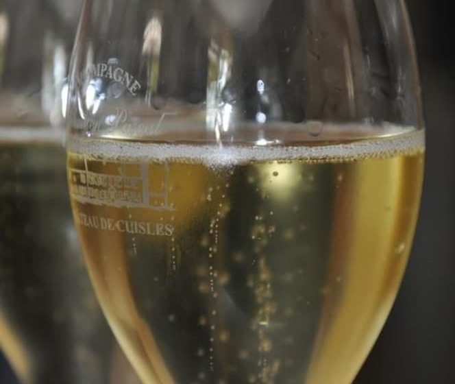 Bed and Breakfast Château De Cuisles