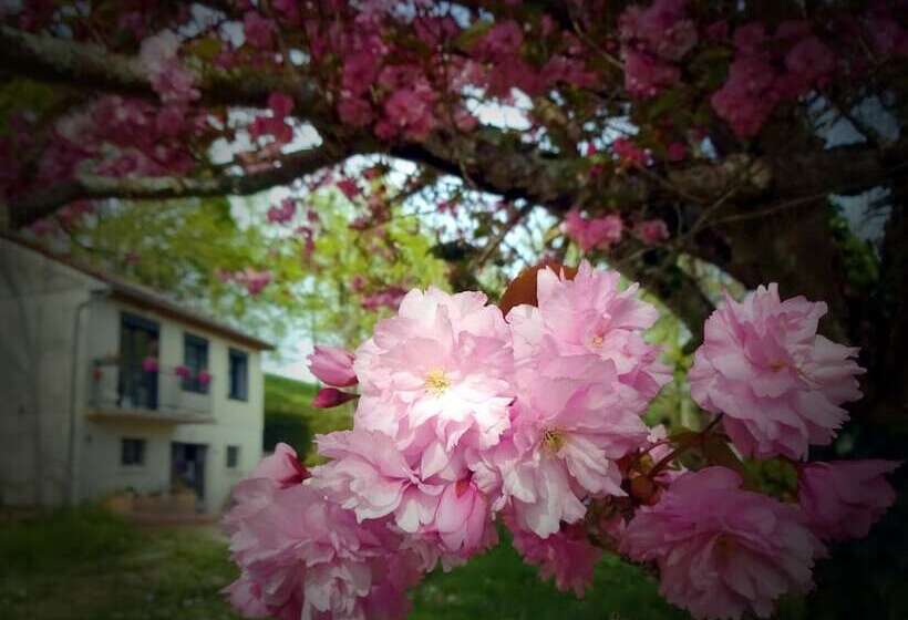 민박 Chez Flo Et Marc