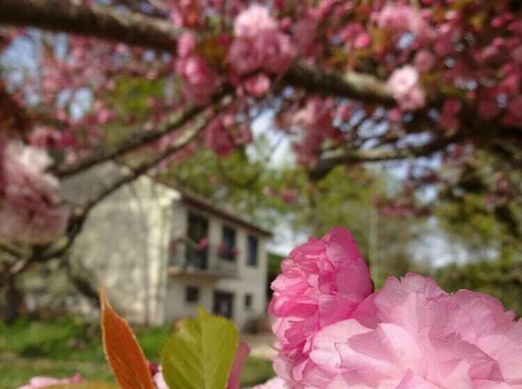 민박 Chez Flo Et Marc