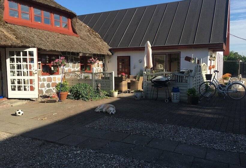 住宿加早餐 Keisergården