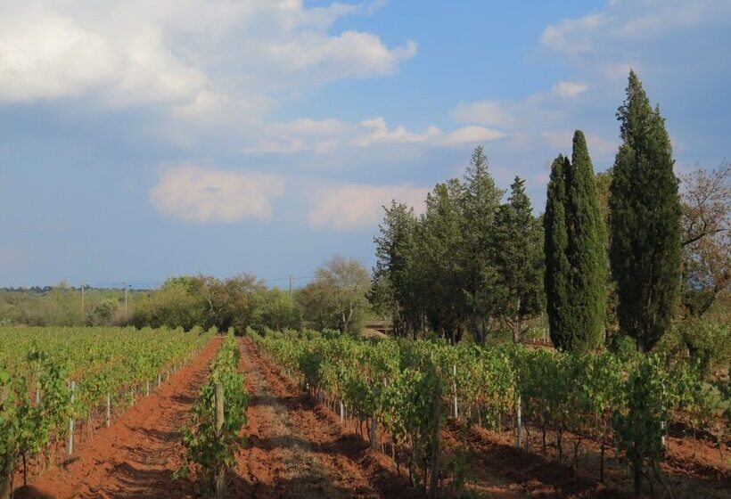 Bed and Breakfast La Grande Lauzade