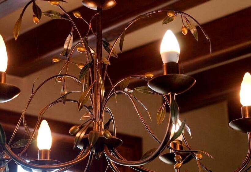 Bed and Breakfast La Maison D Hôtes De Toucy