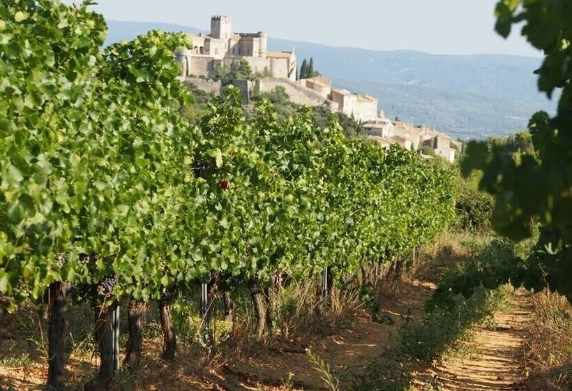 住宿加早餐  Le Mas De La Lause