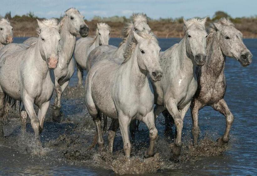 צימר Le Mas Des Brune