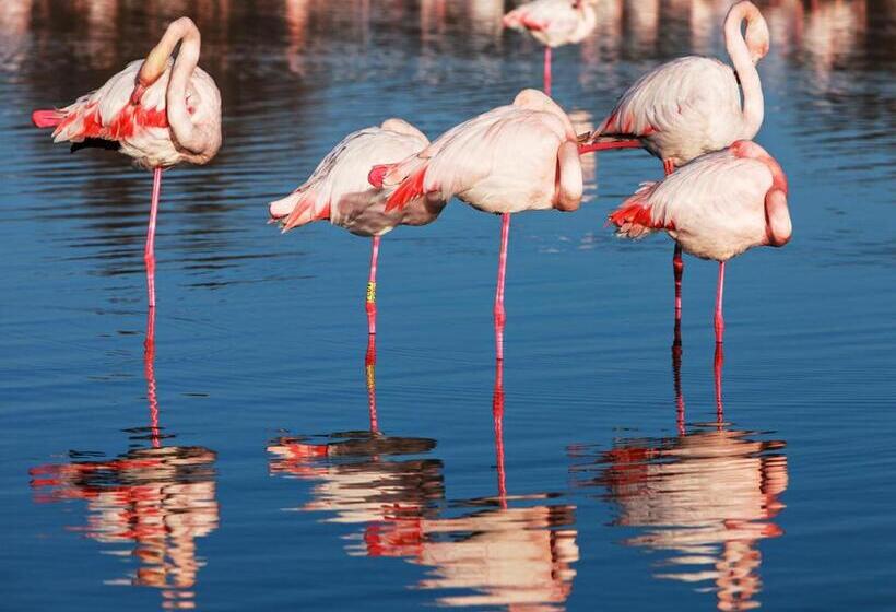 צימר Le Mas Des Brune