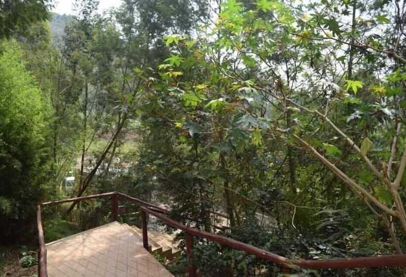 تختخواب و صبحانه Summit Safari Lodge