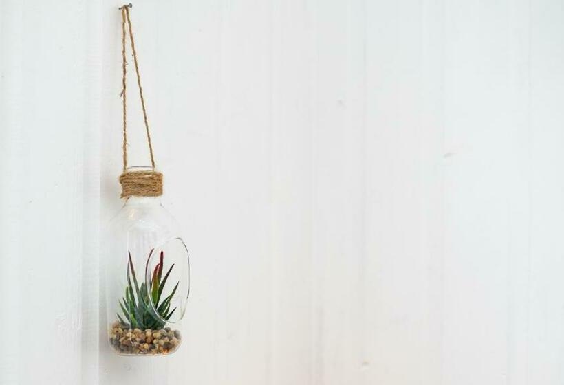 مبيت وإفطار The Foresters Guest House