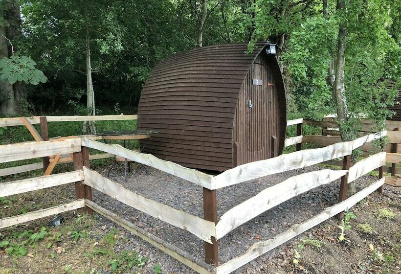 Edinburgh Cabin Camping