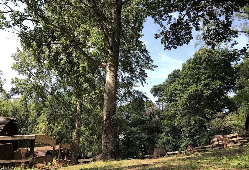 Edinburgh Cabin Camping