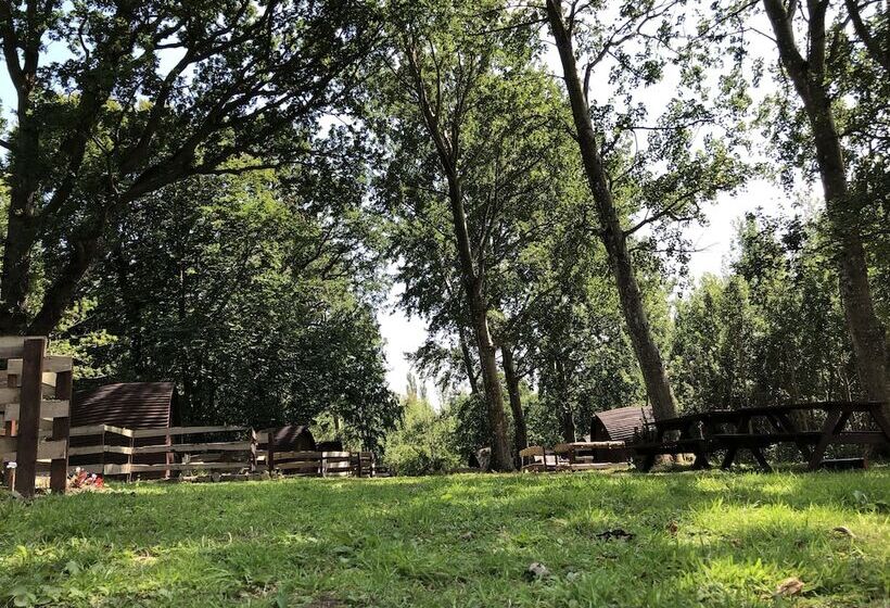 Edinburgh Cabin Camping
