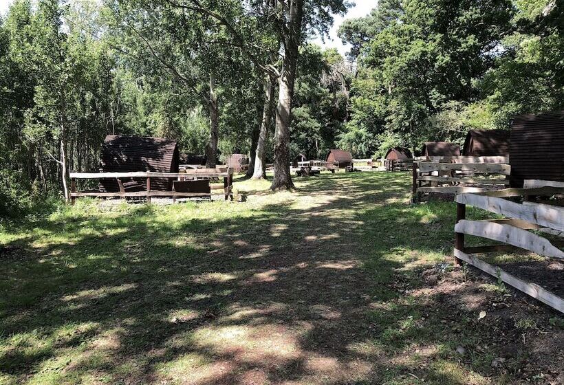 Edinburgh Cabin Camping