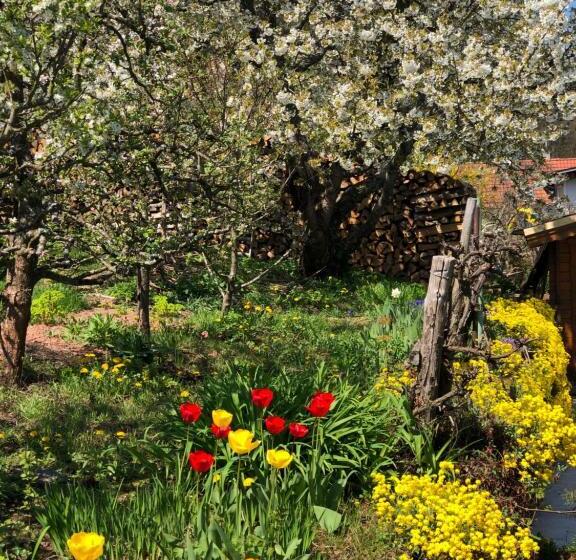 Ferienwohnungen Ries