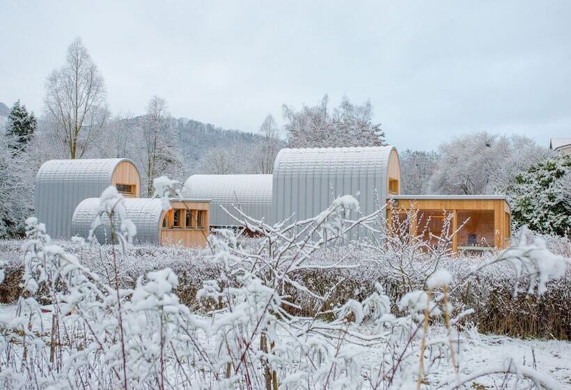 Gîtes Insolites L Oasis Des Coccinelles