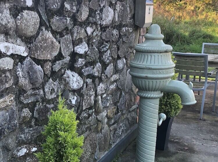 簡易ホテル Flynns Of Termonfeckin