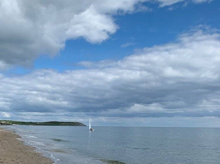 簡易ホテル Flynns Of Termonfeckin