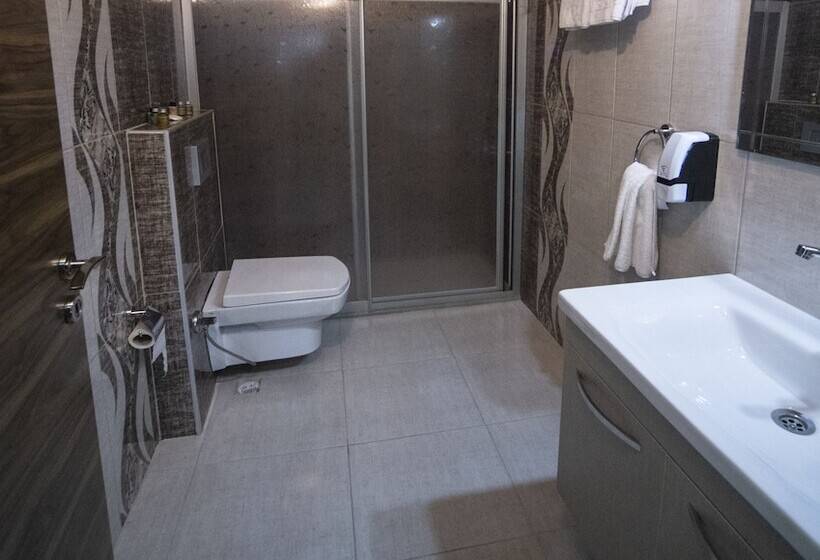 בית מלון כפרי Vira 10