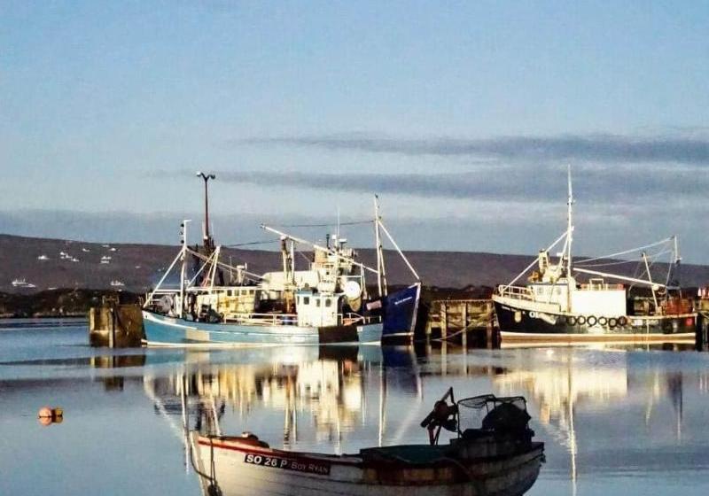 בית מלון כפרי Carey S Viking House