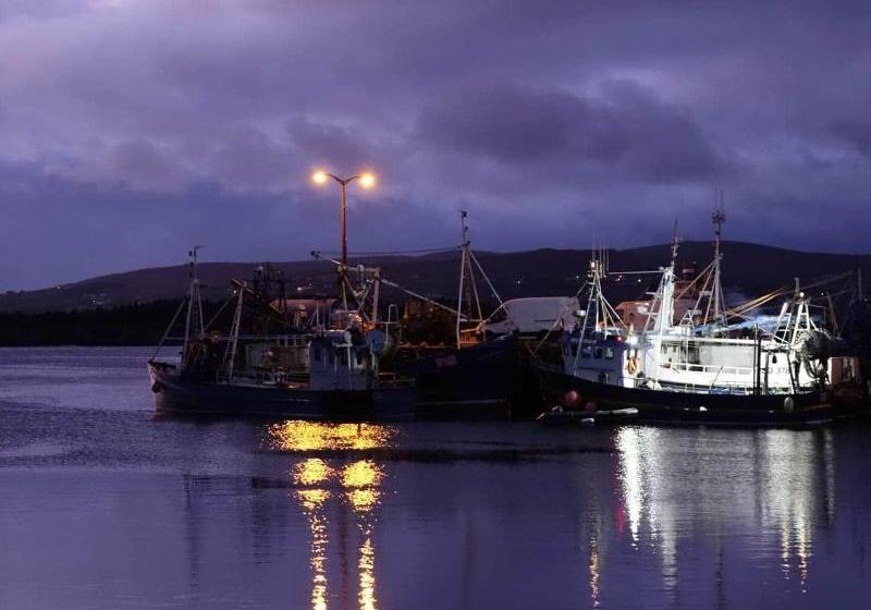 בית מלון כפרי Carey S Viking House