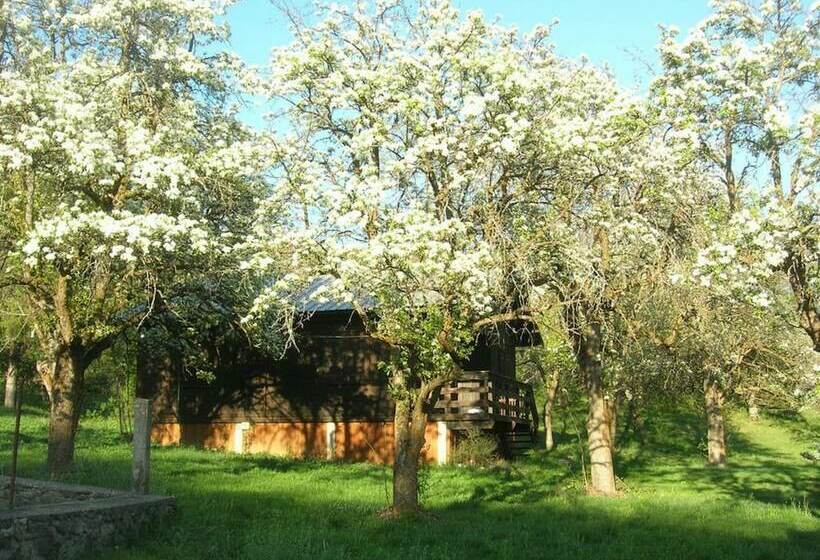 فندق Camping, Hôtel De Plein Air Les Cariamas