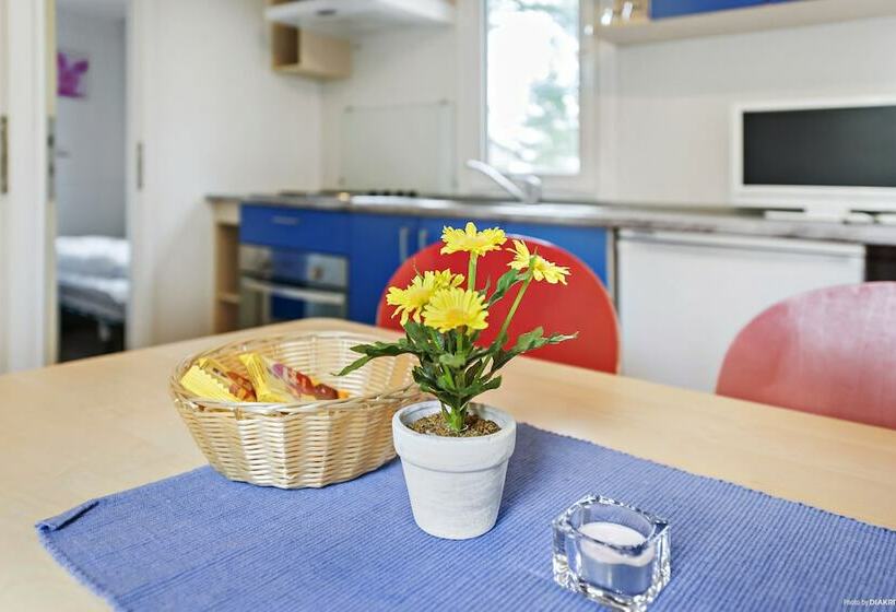 فندق First Camp Oknö