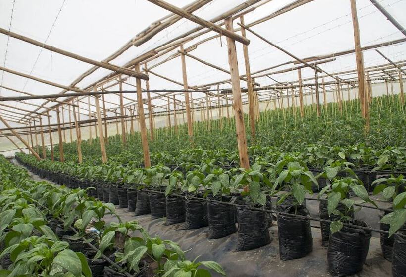 هتل Satellite Holiday Resort