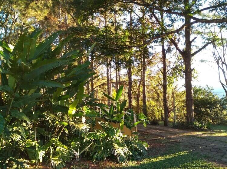 فندق Sítio Colibri   Serra Da Mantiqueira