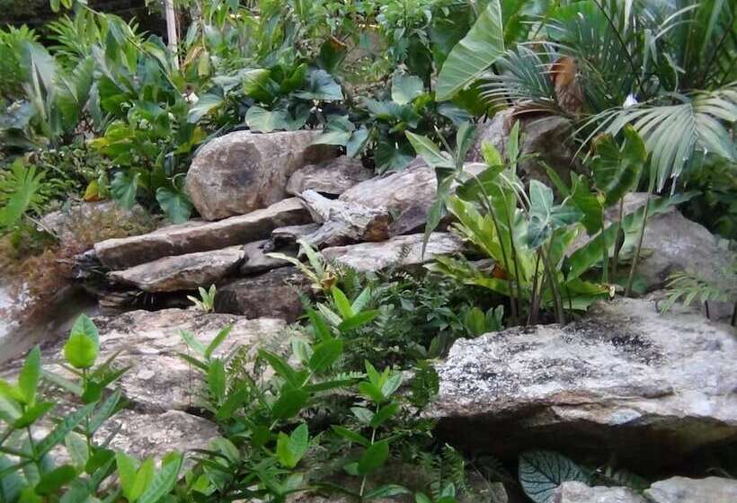 בית מלון כפרי Tuaprodhome