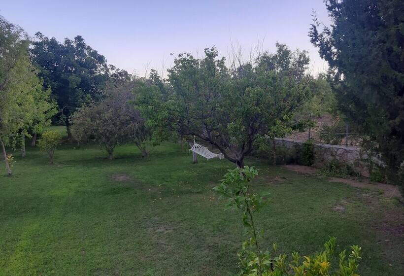 فندق Villa White Apart