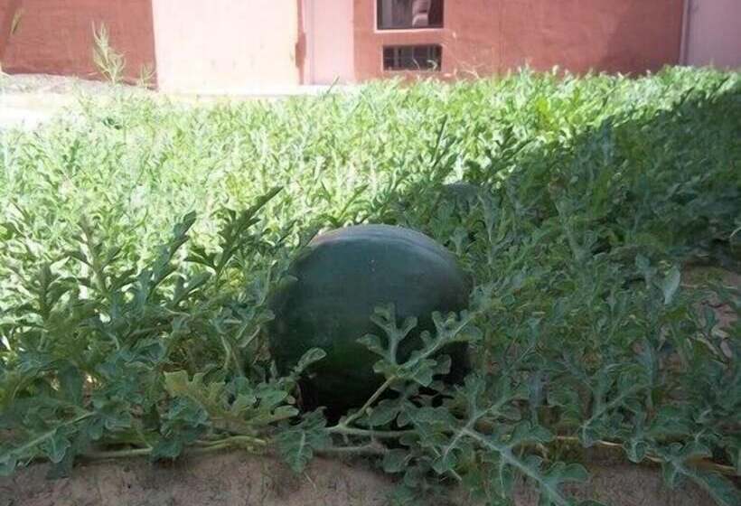 모텔 Hopi Cultural Center