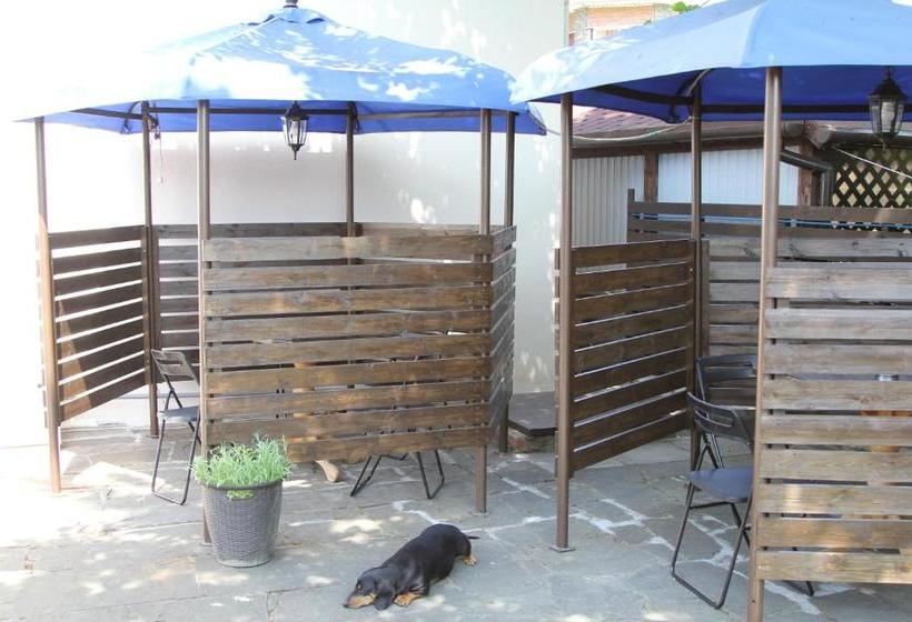 ペンション Aksis House