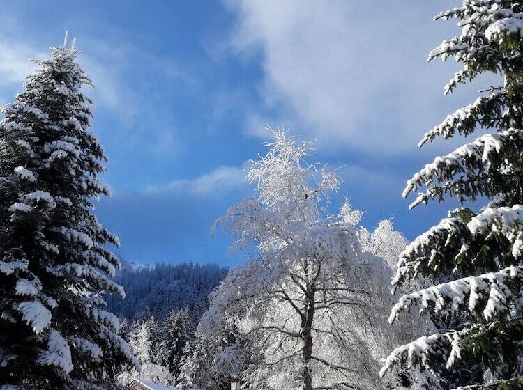 膳宿费 Auberge Nemoz