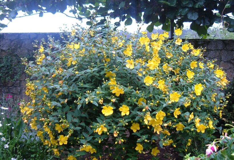 펜션 Casa Xan Da Pena