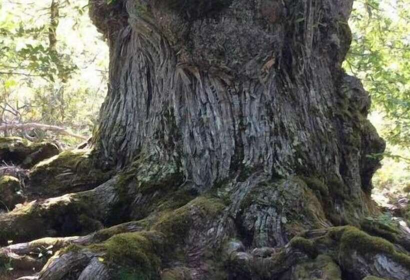 ペンション Chambre D Hôte Le Paradis