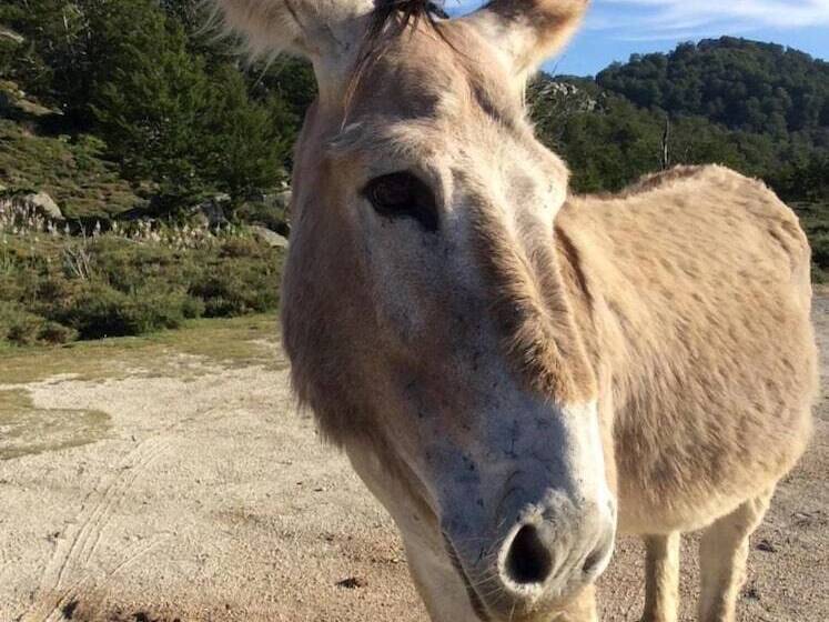 ペンション Chambre D Hôte Le Paradis