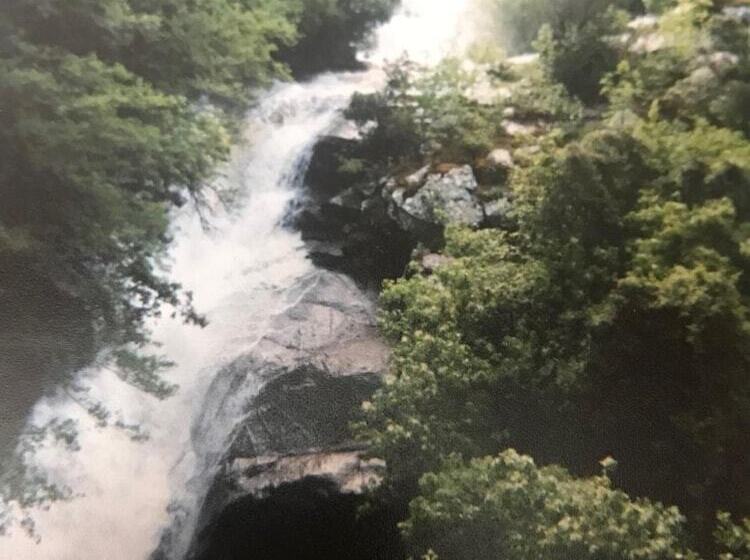 ペンション Chambre D Hôte Le Paradis