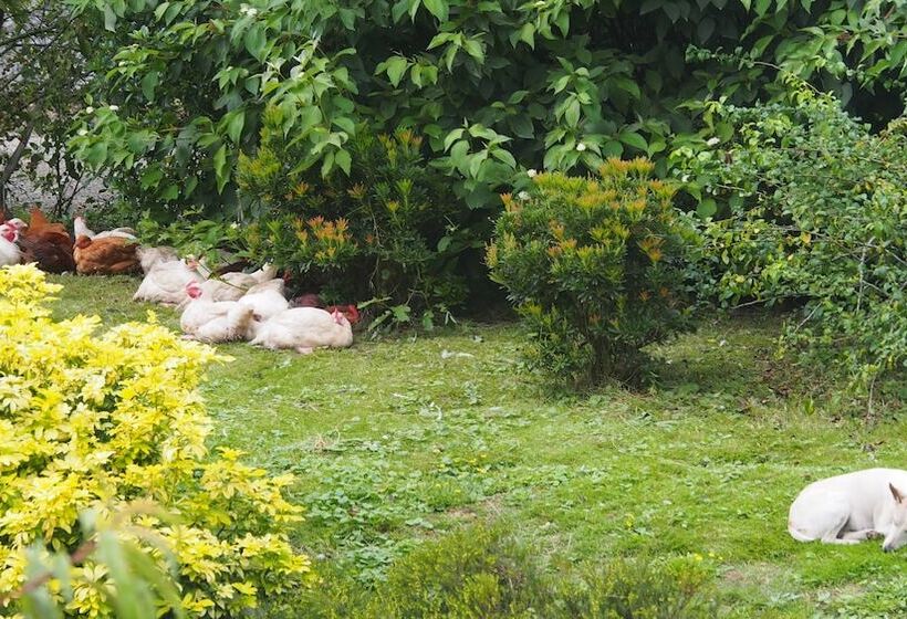 بنسيون Chambres D Hôtes La Gautraie