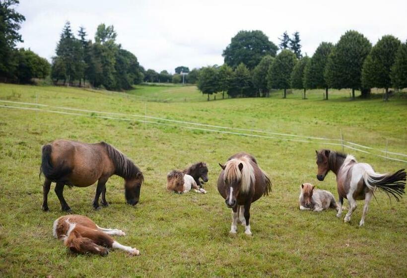 بنسيون Château De La Sémondière