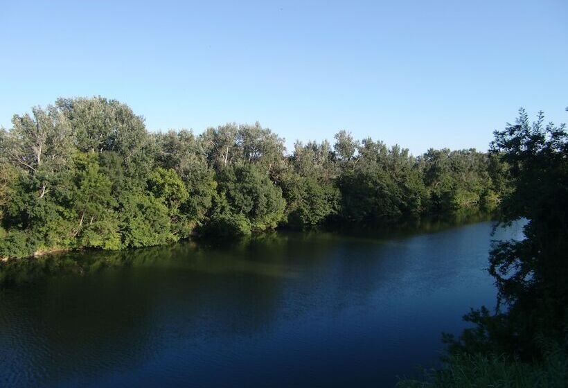 بنسيون Château Rieutort