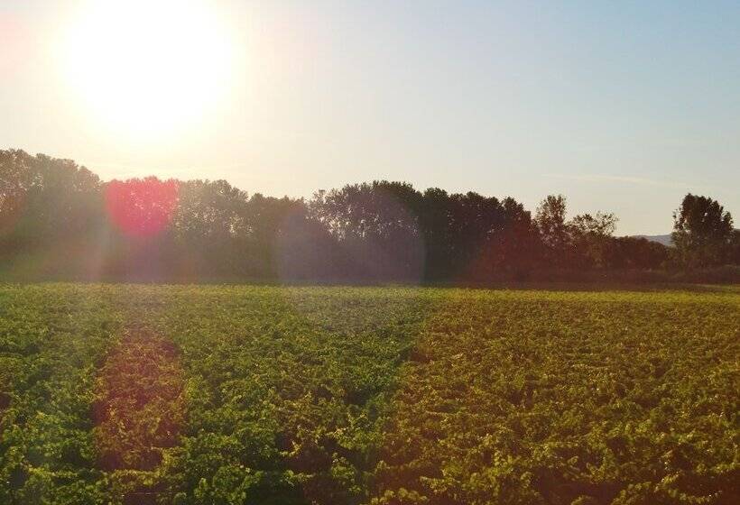 بنسيون Château Rieutort