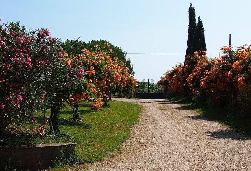 פנסיון Domaine De Millox