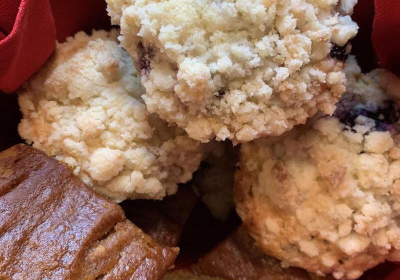 膳宿费 Freedom House B&b