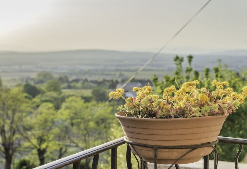 بنسيون Grand Gite Gigondas